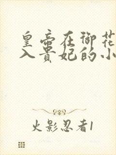 皇帝在御花园进入贵妃的小说