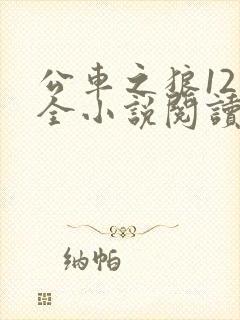 公车之狼12集全小说阅读