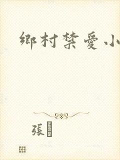 乡村禁爱小说