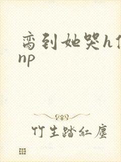 脔到她哭h修仙np封面
