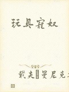 玩具宠奴