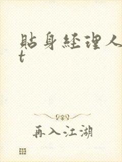 贴身经理人txt封面