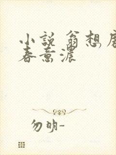 小说 翁想房中春意浓