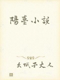 阳台小说封面