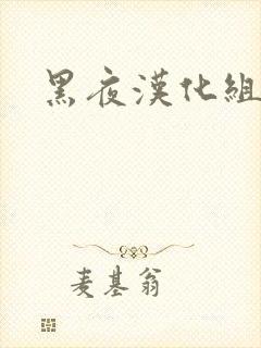 黑夜汉化组封面