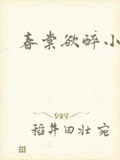 春棠欲醉小说
