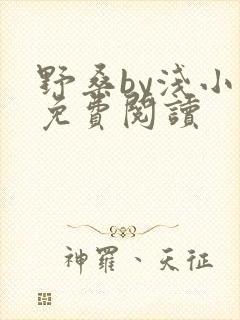 野桑by浅小说免费阅读