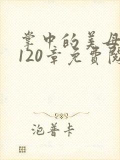 掌中的美母版主120章免费阅读