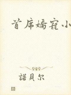首席娇宠小情人