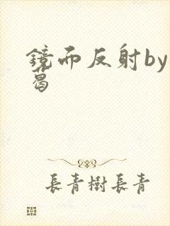 镜面反射by九葛