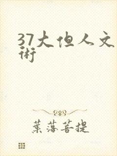 37大但人文艺术