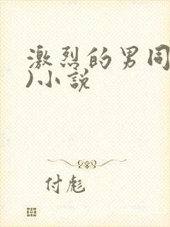激烈的男同(h)小说