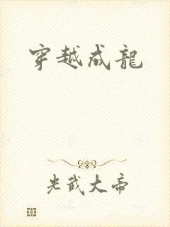 穿越成龙封面
