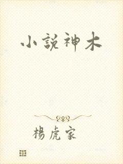小说神木封面