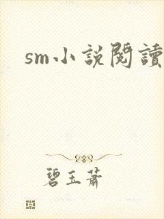sm小说阅读封面