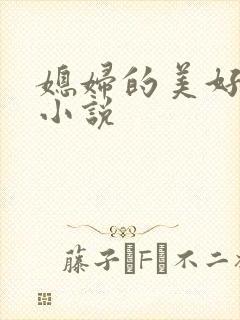 媳妇的美好时代小说