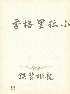香格里拉小说封面