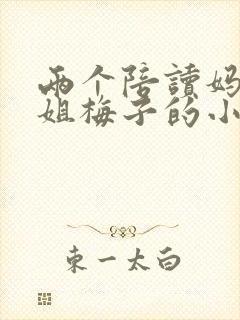 两个陪读妈妈赵姐梅子的小说