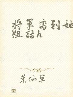 将军脔到她哭h粗话h