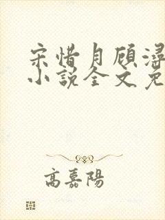 宋惜月顾浔渊的小说全文免费阅读