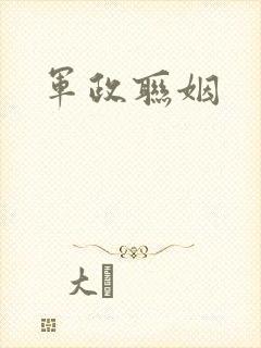 军政联姻封面