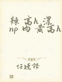 辣 高h 浓 np 肉 黄高h