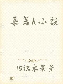 长篇h小说