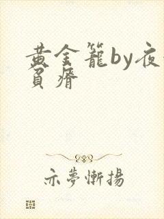 黄金笼by夜很贫瘠