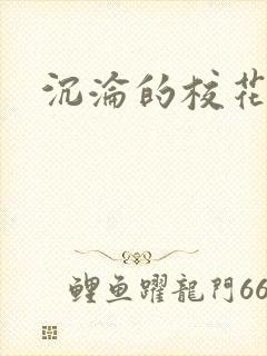 沉沦的校花