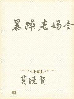 暴躁老妈全集封面