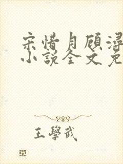 宋惜月顾浔渊的小说全文免费阅读封面