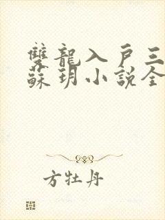 双龙入户三人行苏玥小说全文阅读