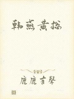 韩燕黄总