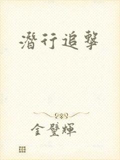 潜行追击