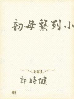 韵母系列小说