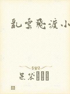 乱云飞渡小说