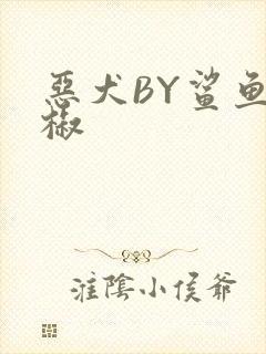 恶犬BY鲨鱼辣椒