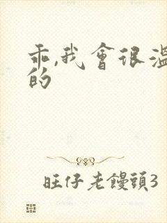 乖,我会很温柔的封面
