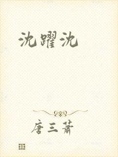 沈跃沈封面