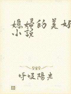 媳妇的美好时代小说