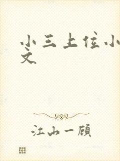 小三上位小说全文