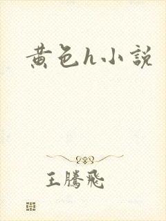 黄色h小说封面