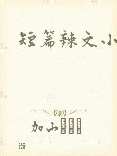 短篇辣文小说