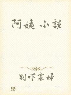 阿姨 小说封面
