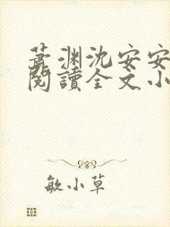 萧渊沈安安免费阅读全文小说封面