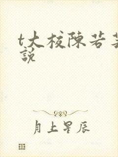 t大校陈若芸小说封面