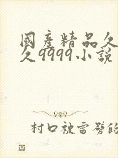 国产精品久久久久9999小说