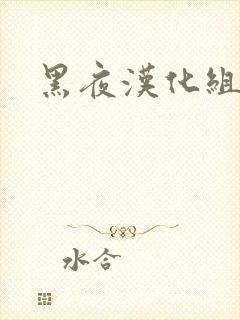 黑夜汉化组