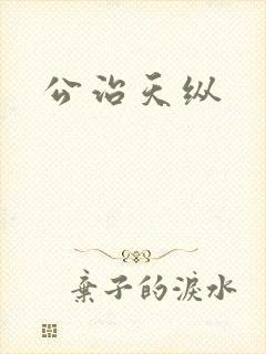公治天纵封面