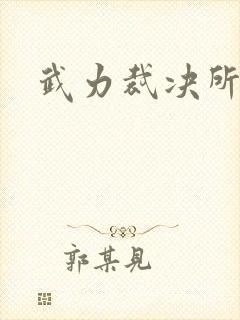 武力裁决所封面